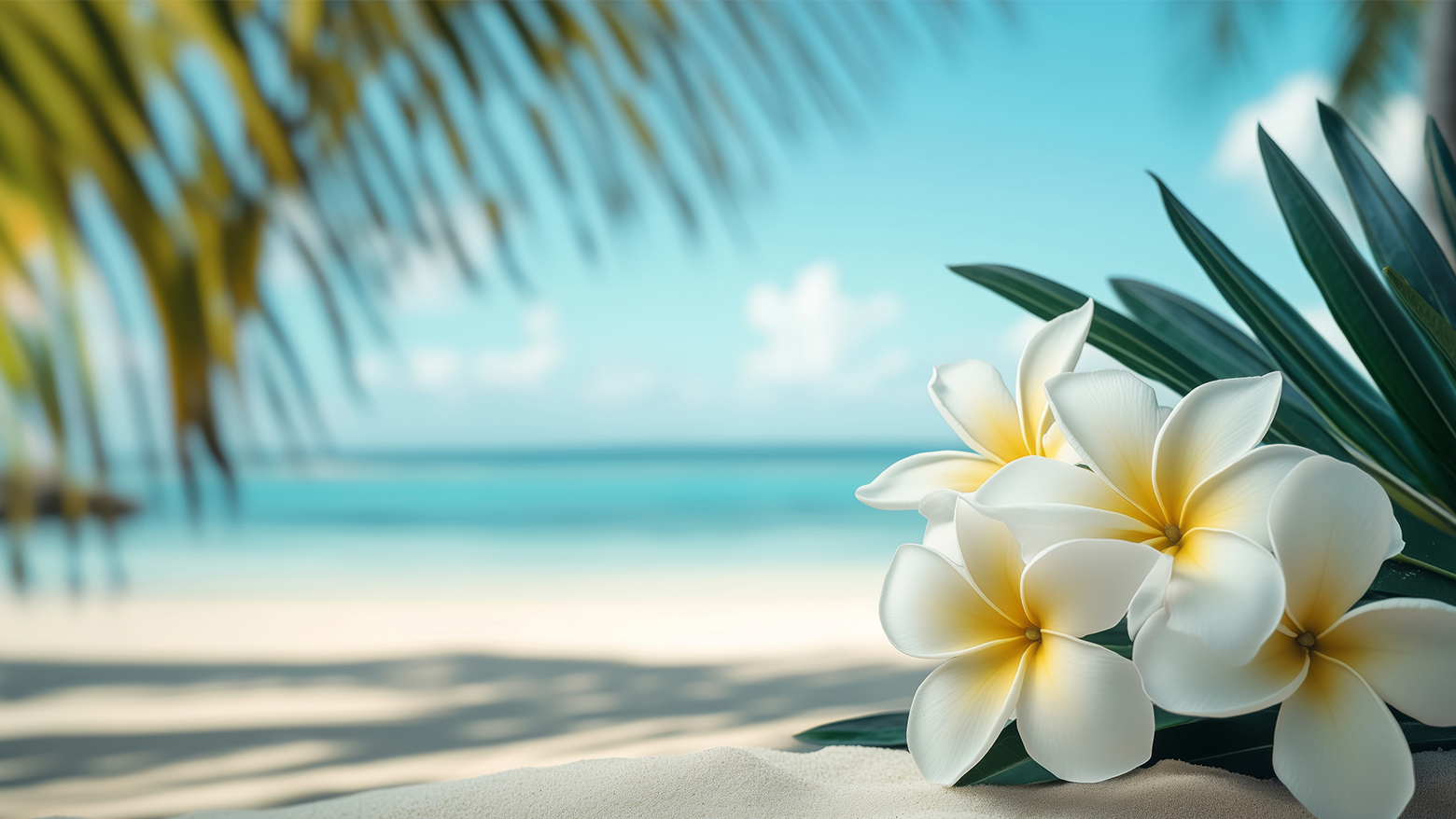 「癒し」と「美しさ」がつながる場所